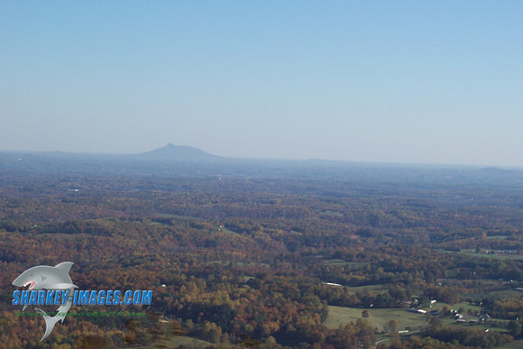 110208_ 030.jpg
