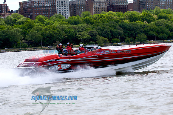 0515010B_ 295 - Version 2