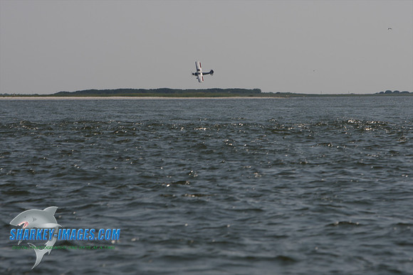 0801609 217 - Version 2.jpg