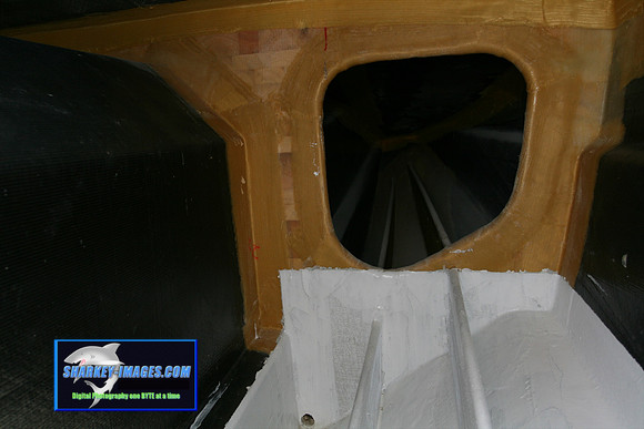 080109_T 37.jpg