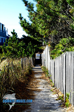 121109_ 17 - Version 2.jpg