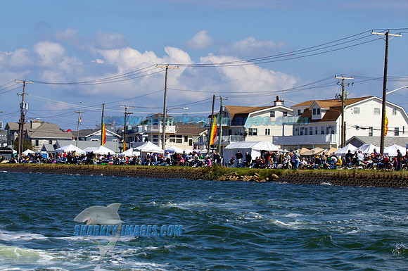 111001B 194 - Version 2