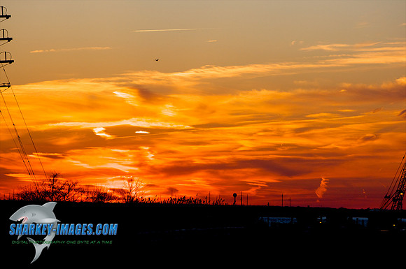 03182010 40 - Version 2