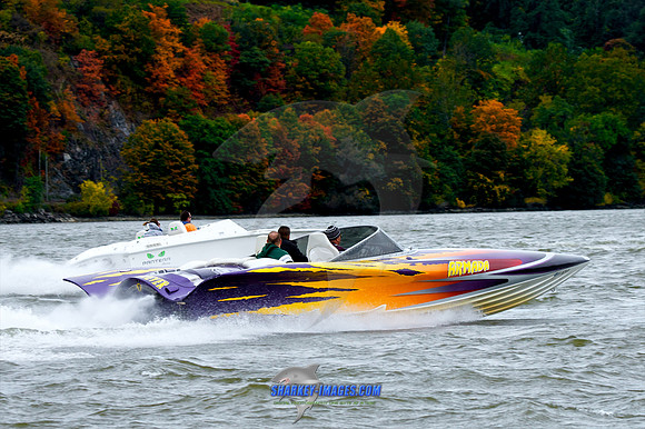 101009B 212 - Version 2.jpg