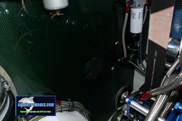 080109_T 51.jpg