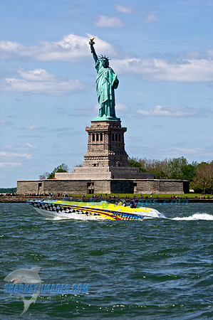 0515010B_ 425 - Version 2