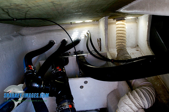 052010_ 58 - Version 2