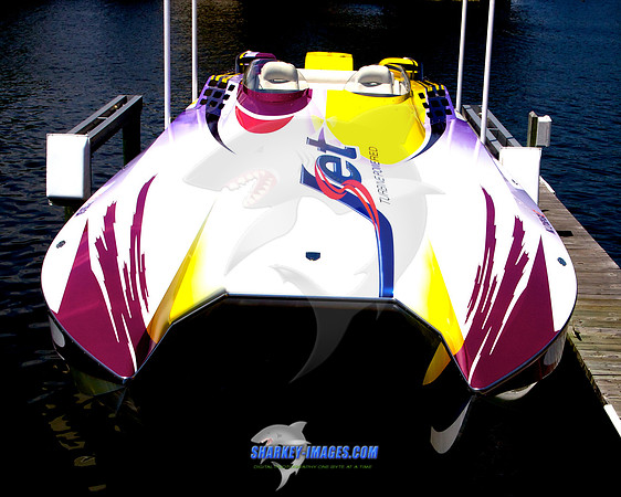110702A 25 - Version 2
