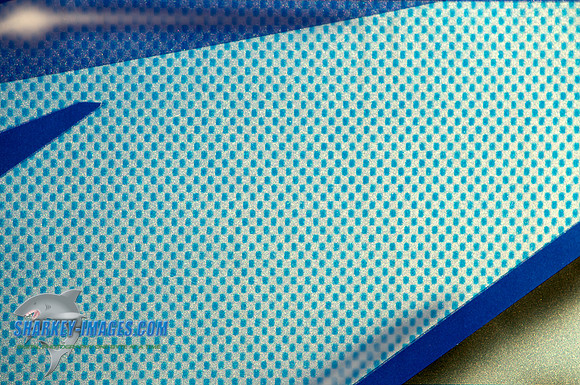 110217 31 - Version 2