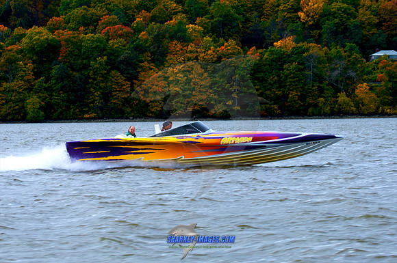 101009B 290 - Version 2.jpg