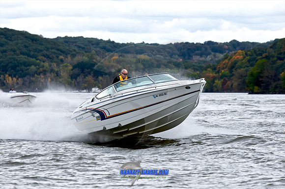 101009B 74 - Version 2.jpg