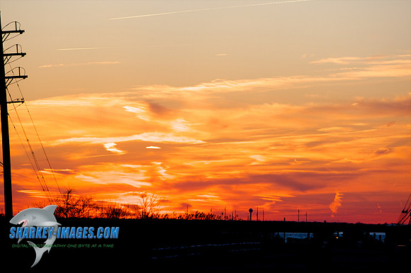 03182010 42 - Version 2