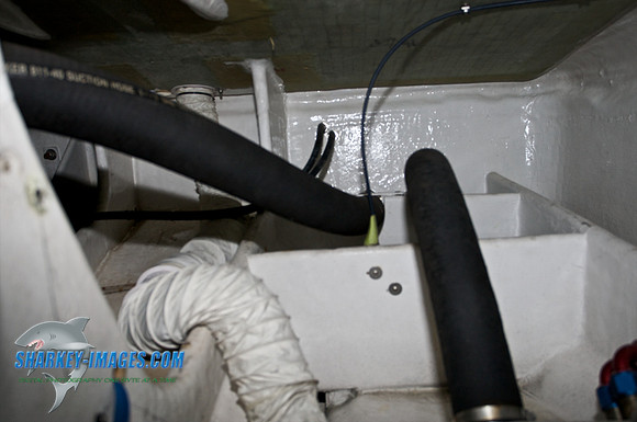 051609_SR 41 - Version 2.jpg