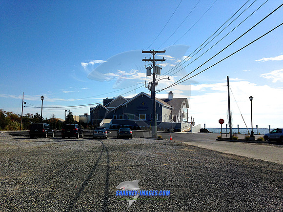 131022iP5 8