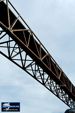 IMG_8942 - Version 2.jpg