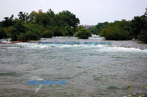 110813F 104 - Version 2