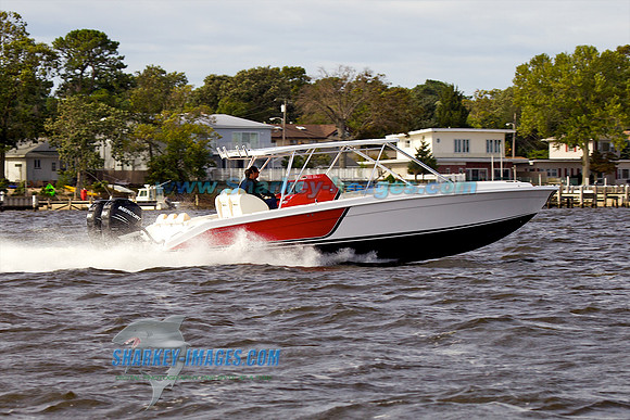110918A 194 - Version 2