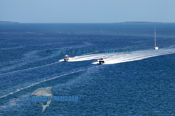 120223B 483 - Version 2