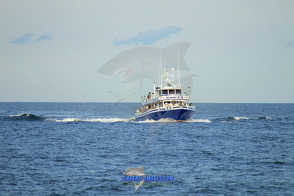 160902A 333