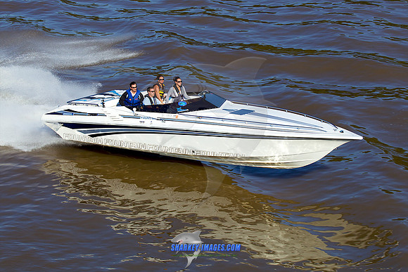 111008A 1251 - Version 2