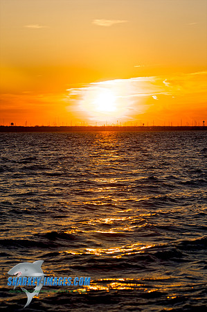 03182010 6 - Version 2