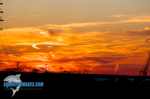 03182010 41 - Version 2