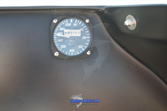 080109_JS 32.jpg