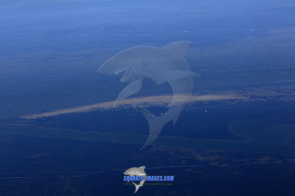 131026A 586