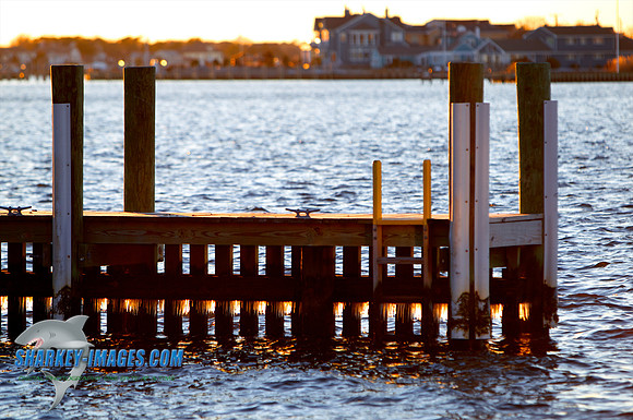 110203  1462 - Version 2