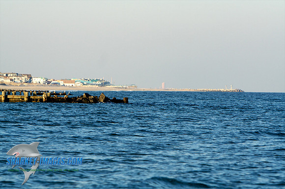 011410 7 - Version 2.jpg