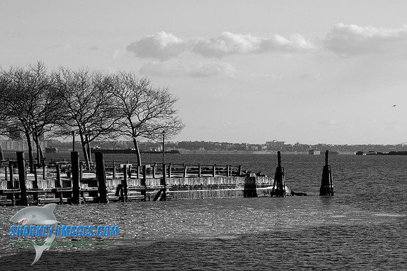 1162009 055C_BW.JPG