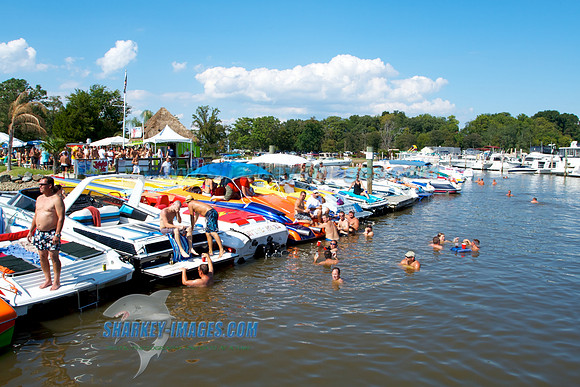 120818A 66
