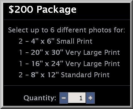 $200 Package
