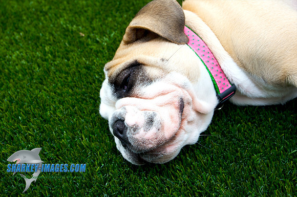 100807E 159 - Version 2