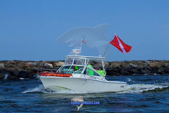 150710D 1235