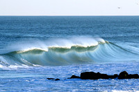 R 017Cropped.jpg