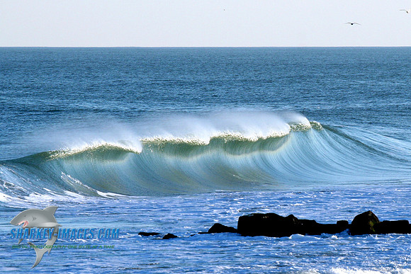 R 017Cropped.jpg