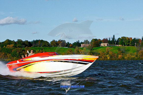 101009B 397 - Version 2.jpg