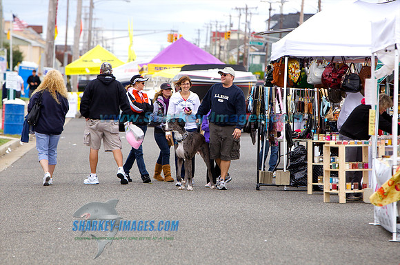111002_S 37 - Version 2