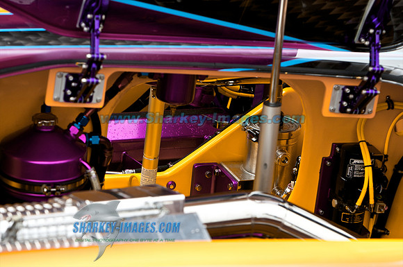 062009D 11 - Version 2