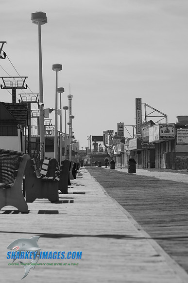03-25-09_001.JPG