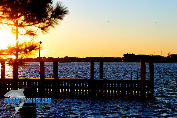 110203  1461 - Version 2