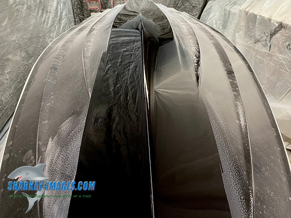 CAE34009-87AB-4ACF-9912-DB3C6F3CF8EE