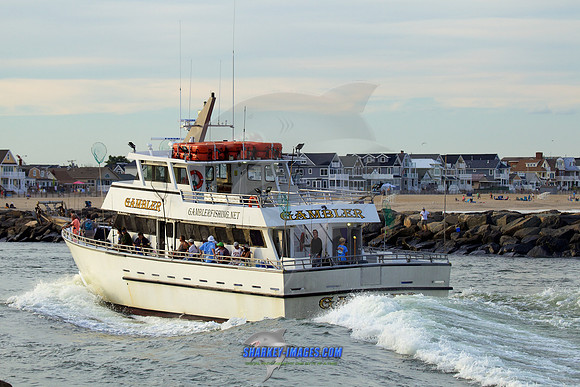 160902A 331