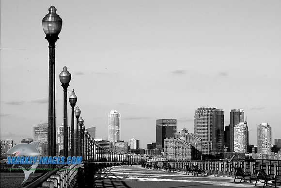 1162009 060C_BW.JPG