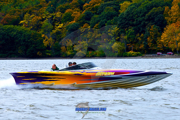 101009B 284 - Version 2.jpg