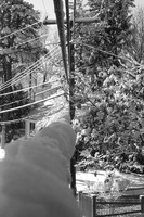 020409 012.jpg