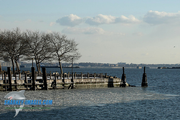 1162009 055C.JPG