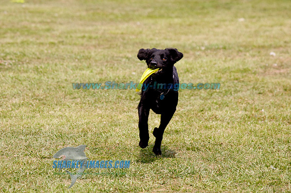 100821B 72 - Version 2