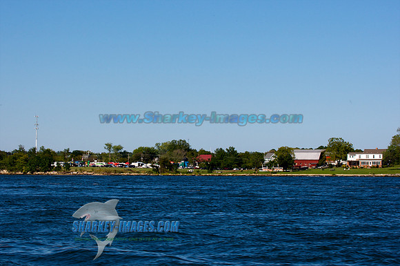 101002A 347 - Version 2